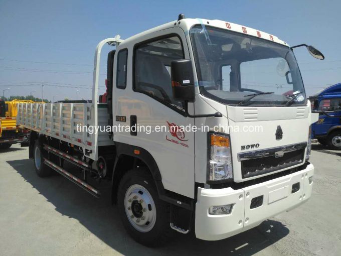 4X2 HOWO Light Cargo Truck 