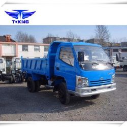 (3000kg) 3 Ton 90HP Truck Mini Light Dumper Truck / Mini Tipper with Front Lifting (ZB3046JDC)