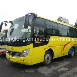8m 33-37 Seats Passenger Bus with Front Cummins Engine