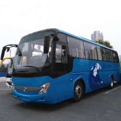 Cummins Engine 12m Luxury Passenger Bus with 55-70 Seats