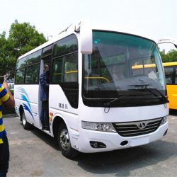 6m 20 Seats Bus for Sale