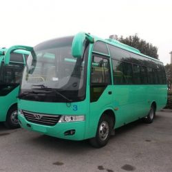 China 7.5m School Bus Medium Passenger Car with 31-35 Seats