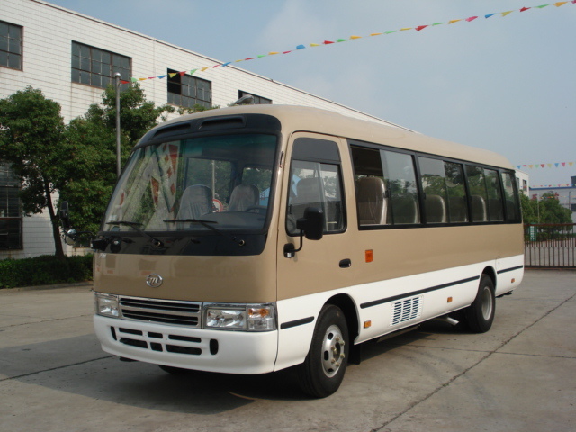 Coaster Model Mini Bus with 20-30 Seats Export to Africa 
