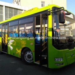 China Diesel Engine 12m 45-60 Seats City Bus