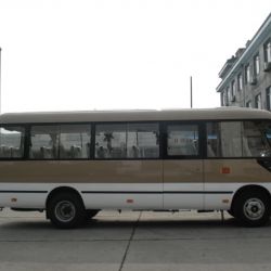 20 Seats Good Performance Mini Bus with Practical Feature