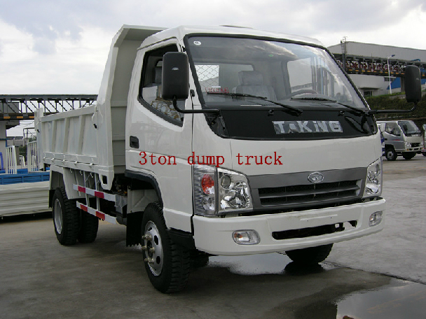 T-King 3 T on Diesel Engine Dump Truck Images 1