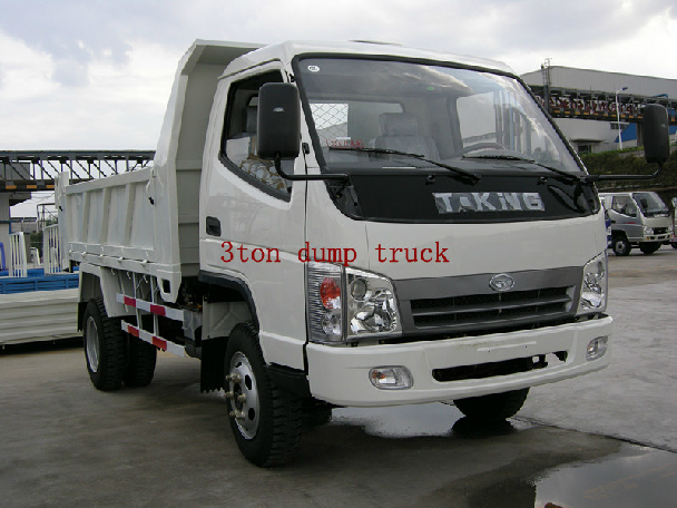 T-King 3 T on Diesel Engine Dump Truck 