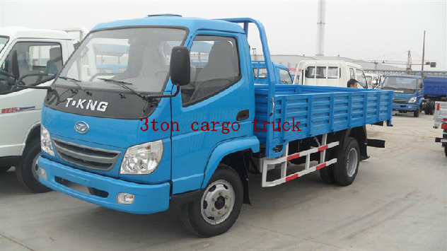 T-King Petrol Engine 3 Ton Cargo Truck Images 1