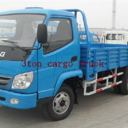 T-King Petrol Engine 3 Ton Cargo Truck