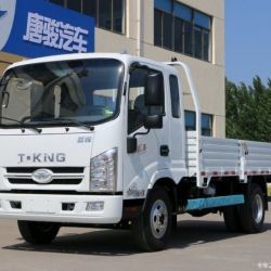 3t Cargo Light Duty Truck Brand T-King (ZB1040LDDS_3T)