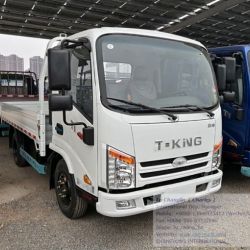 Cargo Truck Flat Truck Light Truck 3 Tons T-King