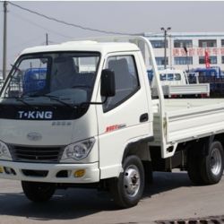 Light Truck (ZB1020BDBS)