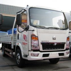 HOWO 4X2 3 Ton Light Truck