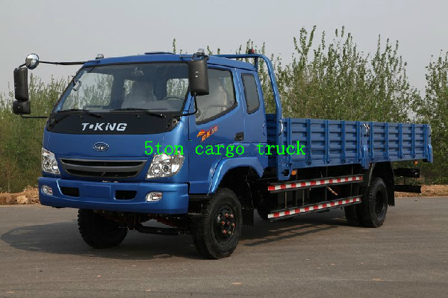 T- King 5 Ton Light Duty Truck/Small Cargo Truck Images 1