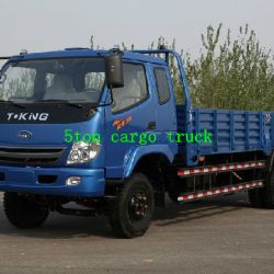 T- King 5 Ton Light Duty Truck/Small Cargo Truck