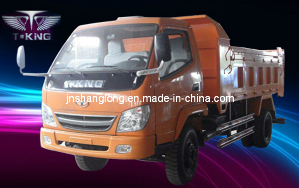 T-King 5 Ton Small Dump Truck Images 1