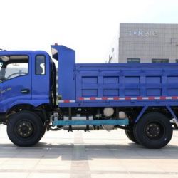 5t Cargo Light Uty Truck T-King for African
