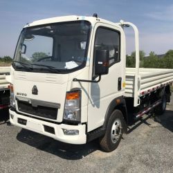 HOWO 4X2 Light Truck 3t Cargo Diesel Truck