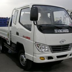 T-Kng 1 Ton Gasoline/ Diesel Small Flatbed Cargo Truck (ZB1022BDAS)