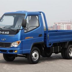 Tking 4X2 Diesel Engine 1t Small Cargo Truck
