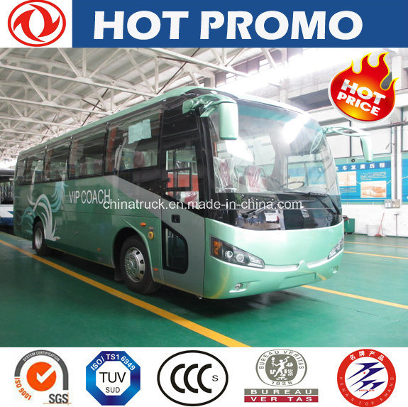 Flash Sale USD57, 000 for a Dongfeng 10m Cummins 245 HP Engine with A/C VIP Luxury Mini City Bus Coa 