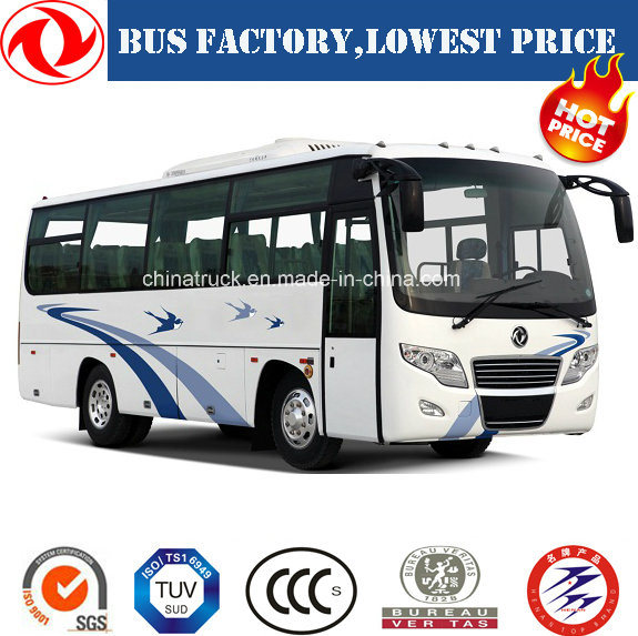 Hot Sales of Dongfeng 7.9m Tourist Coach/Bus (24-35 seats) Passenger Bus 