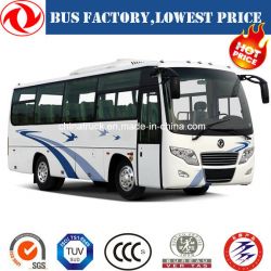 Hot Sales of Dongfeng 8m Tourist Coach/Bus (24-35 seats) Passenger Bus City Bus Mini Bus