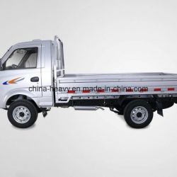 Hot Sale Rhd/LHD 1.2L Gasoline 62.5 HP Single Row Mini/Small Cargo Lorry Truck