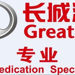 Full Series of Greatwall Motor Spare Parts