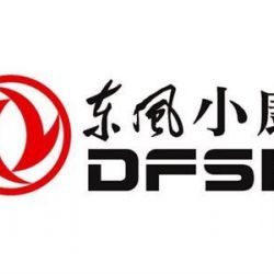 Dongfeng Sokon/Dfsk Mini Truck Spare Parts