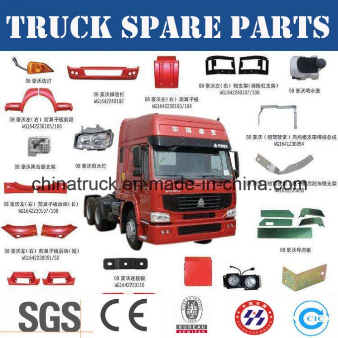 Genuine Sinotruk /Sinotruck/Dongfeng/Dfm/FAW/JAC/Foton/HOWO/Shacman/Beiben/Camc/Saic Hongyan Heavy T 