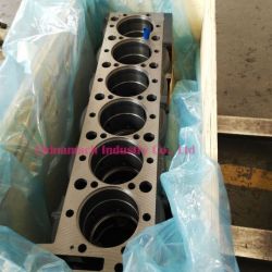Man Engine Spare Part (201-01102-6455) Cylinder Block for D2066