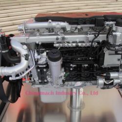 Diesel Engine D0834/D0836 Man Engine for Truck