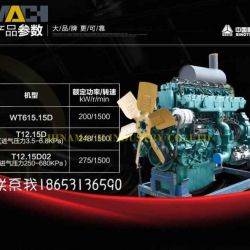 Engine Manufacturer Biogas Engine/Natural Gas Engine for Generator Sets