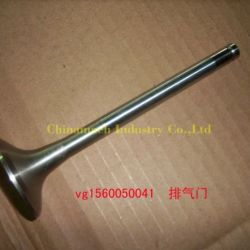 Sinotruk HOWO Truck Spare Parts Vg1560050041 Exhaust Valve