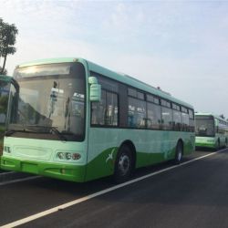30 Seats City Bus with Cummins Engine