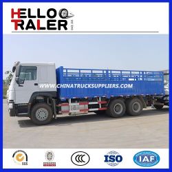 China HOWO 10 Wheeler Van Cargo Truck