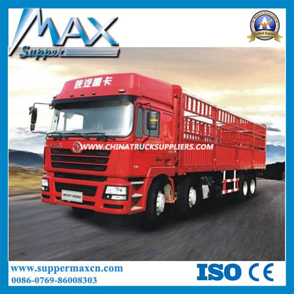 Shacman Delong F3000 8X4 Cargo Truck 