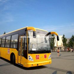 Changan Brand 56-74 Seat School Bus