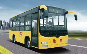 65-85 Seat School Bus 