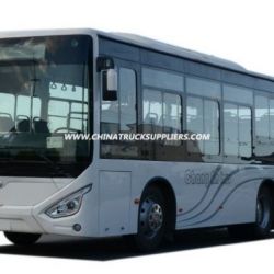 Rear Engine City Bus 8-9m 20-35 Seats