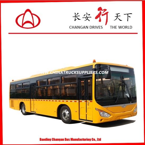 10.5m School Bus 55 Seats Diesel Bus Luxury School Bus with Low Price 