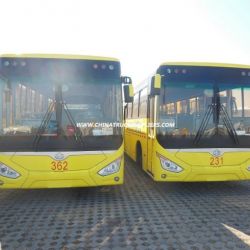 Best School Bus 9m 44 Seats Competitive Price Rear Engine