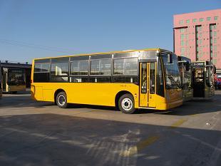 6-11m Buses 
