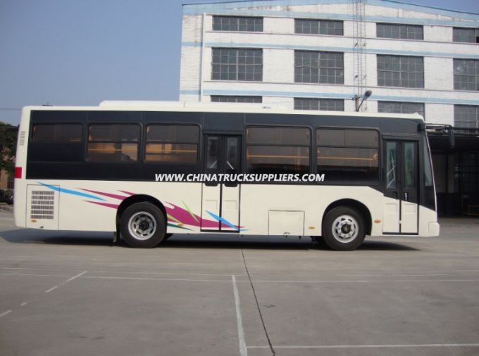 8m City Bus 