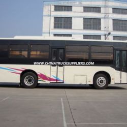 8m City Bus