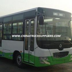 Midium City Bus Sc6733 Front-Engine