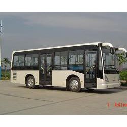 8-9m City Bus