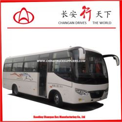 Petrol Bus 10-20 Seats Mini Bus 6m Passenger Bus