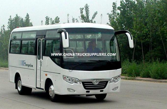 19 Seat Bus (6-8m Passenger Bus) 